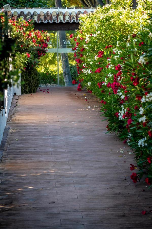 Marbella Banus Suites - Bird Of Paradise Playas Del Duque Banus Suite Apartment Esterno foto